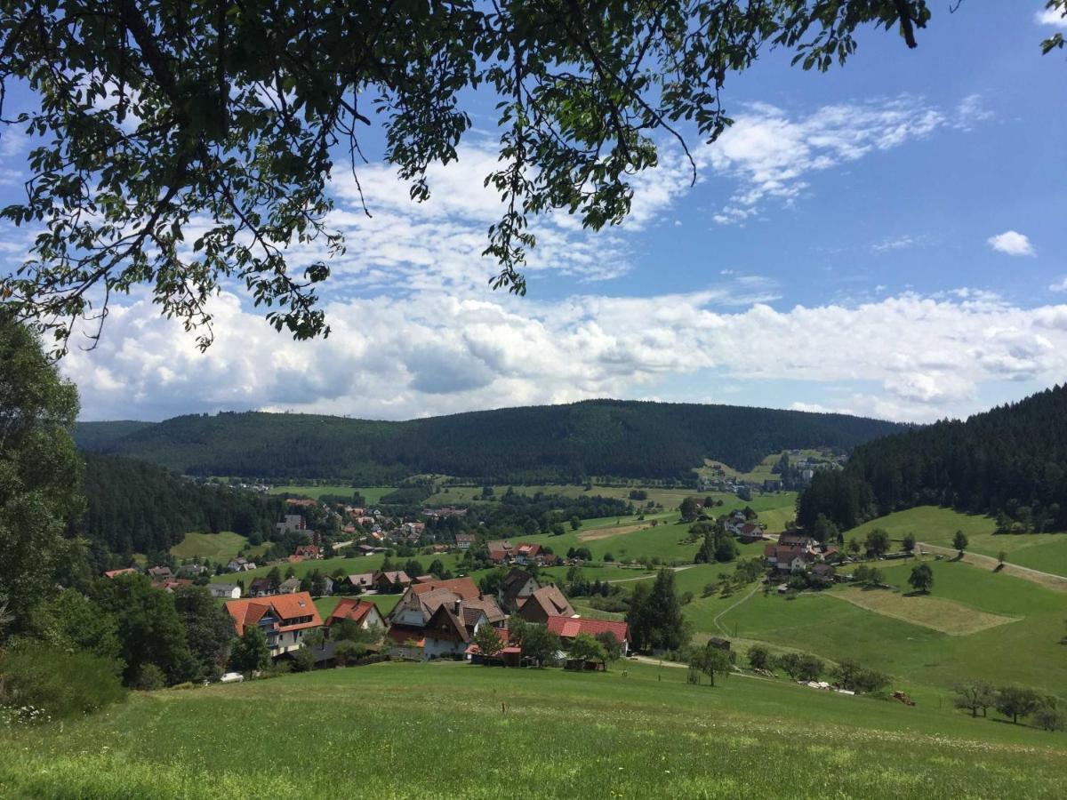 Ferienwohnung Herbert Best Baiersbronn Luaran gambar
